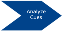 Analyze Cues